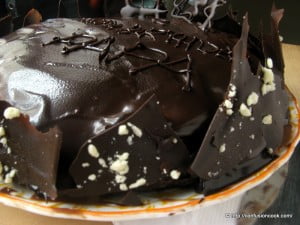 Close-up of the Chocolate Truffle Layers in the Homemade Eggless Cake