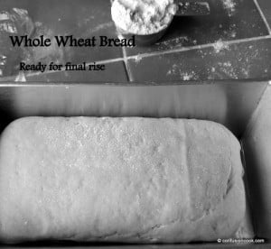 Step-by-step process of making Whole Wheat Bread