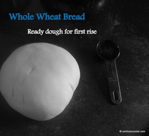 Dough for whole wheat bread rising in a bowl