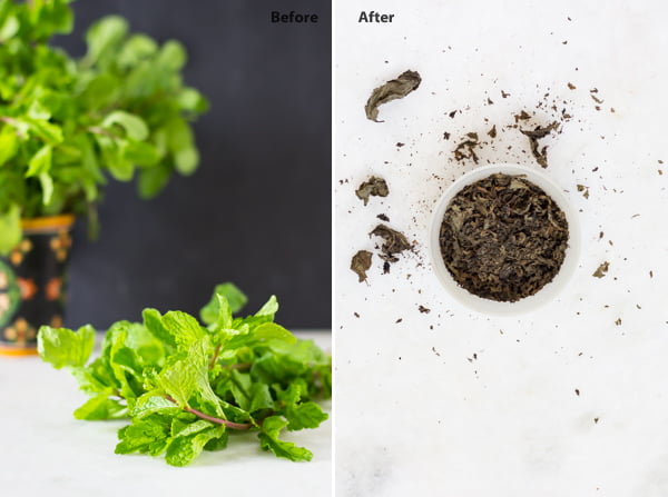 Comparison of fresh mint leaves and dried mint leaves side by side