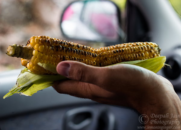 Photostory: Lonavla and Mangoes | Bidding Adieu