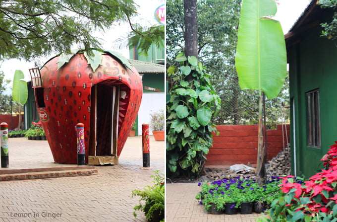 Mahabaleshwar Photo Blog - Part 3 | Travel Story