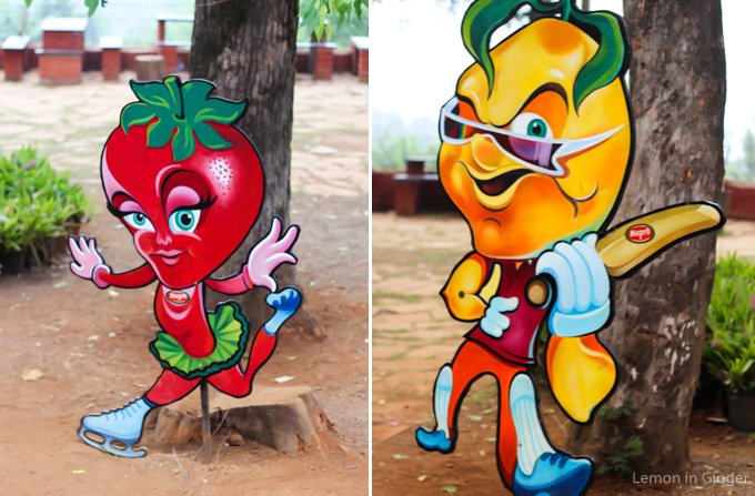 Mahabaleshwar Photo Blog - Part 3 | Travel Story