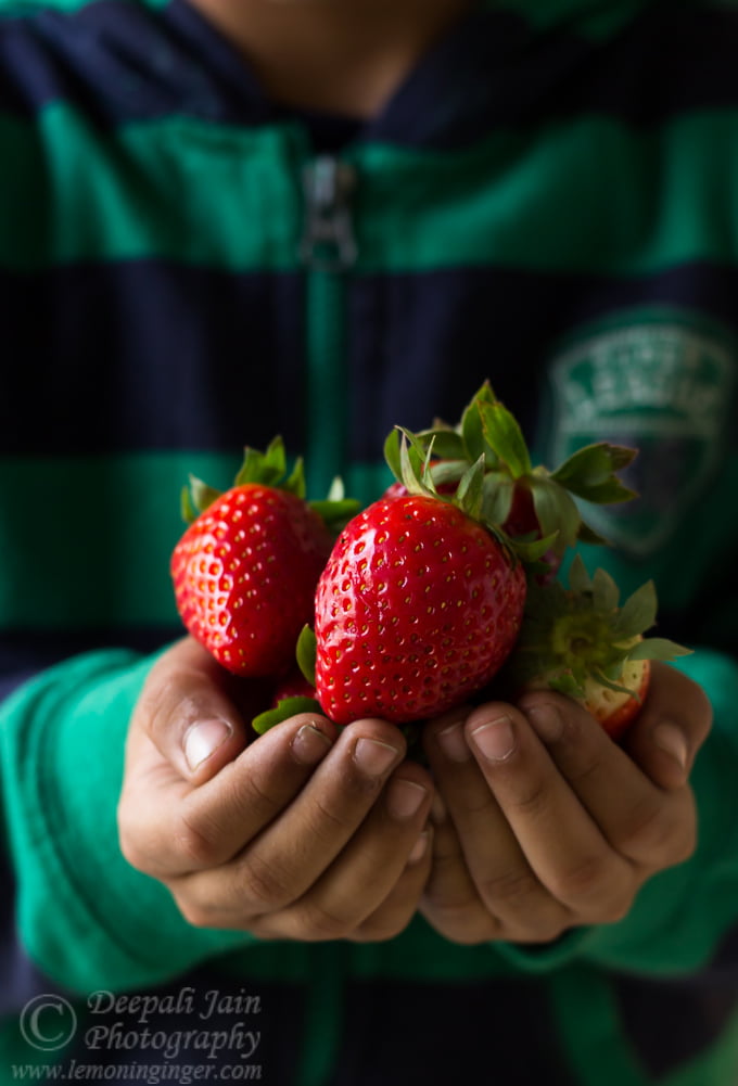 A hand full of strawberries showcasing its vibrant red color
