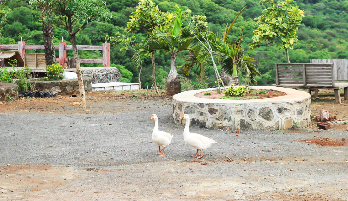Travel | Lohagadh