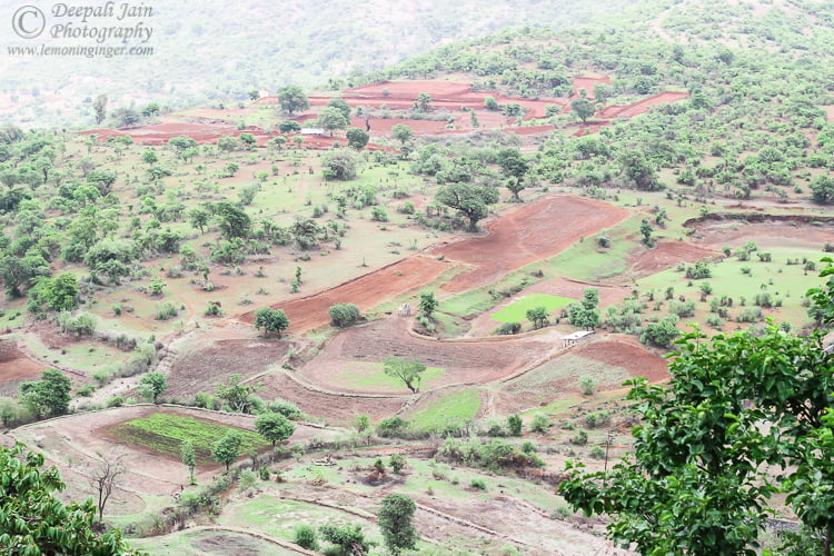 Lohagarh Fort