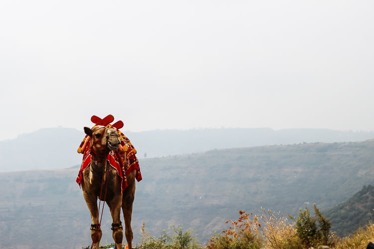 Mahabaleshwar Photo Blog – Part 4 | Travel Story