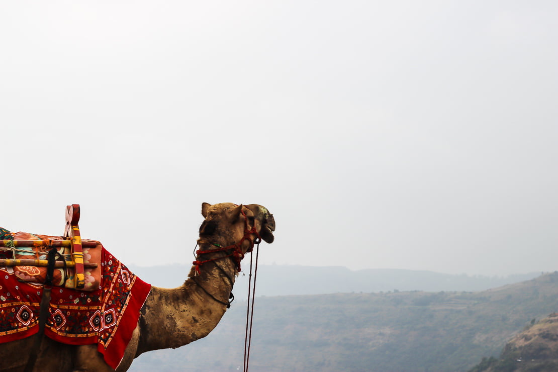 Mahabaleshwar Photo Blog – Part 4 | Travel Story