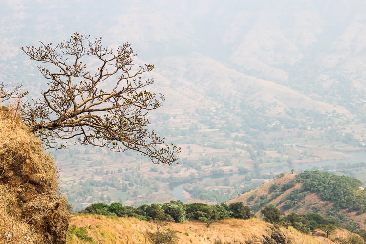 Mahabaleshwar Photo Blog – Part 4 | Travel Story