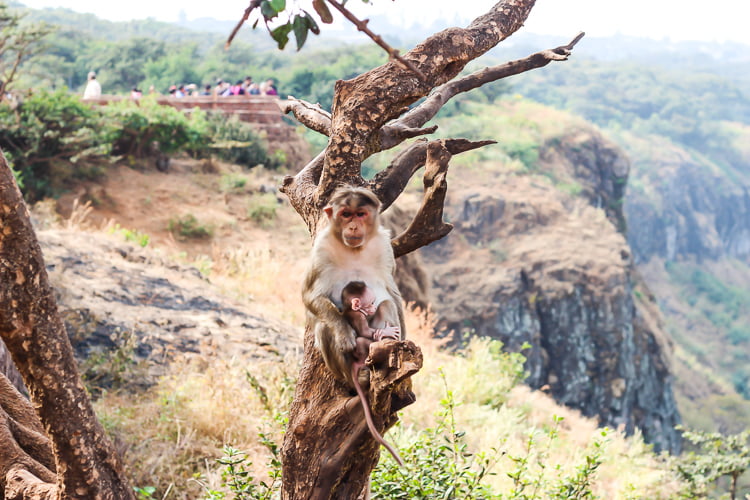 Mahabaleshwar Photo Blog – Part 4 | Travel Story