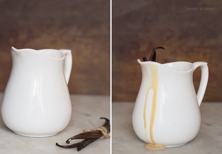 Pair of vanilla beans to make vanilla extract