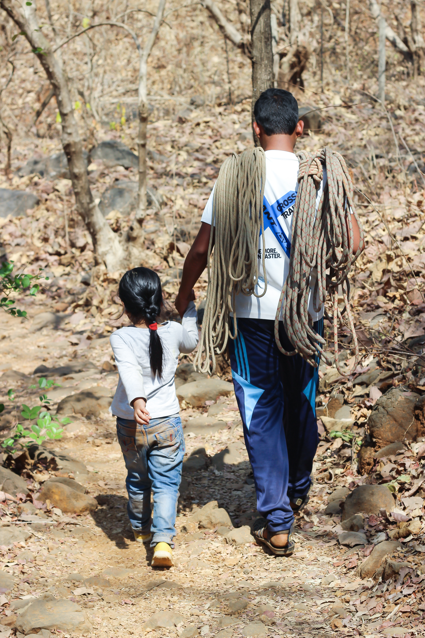 Durshet Forest Lodge