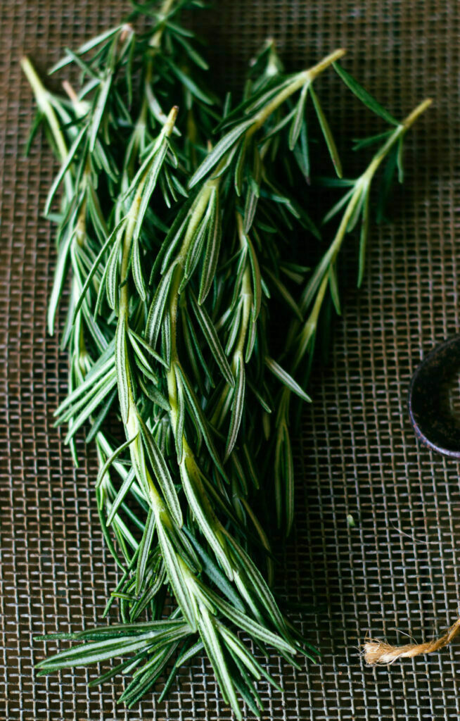 A close-up of rosemary flowers blooming on a plant