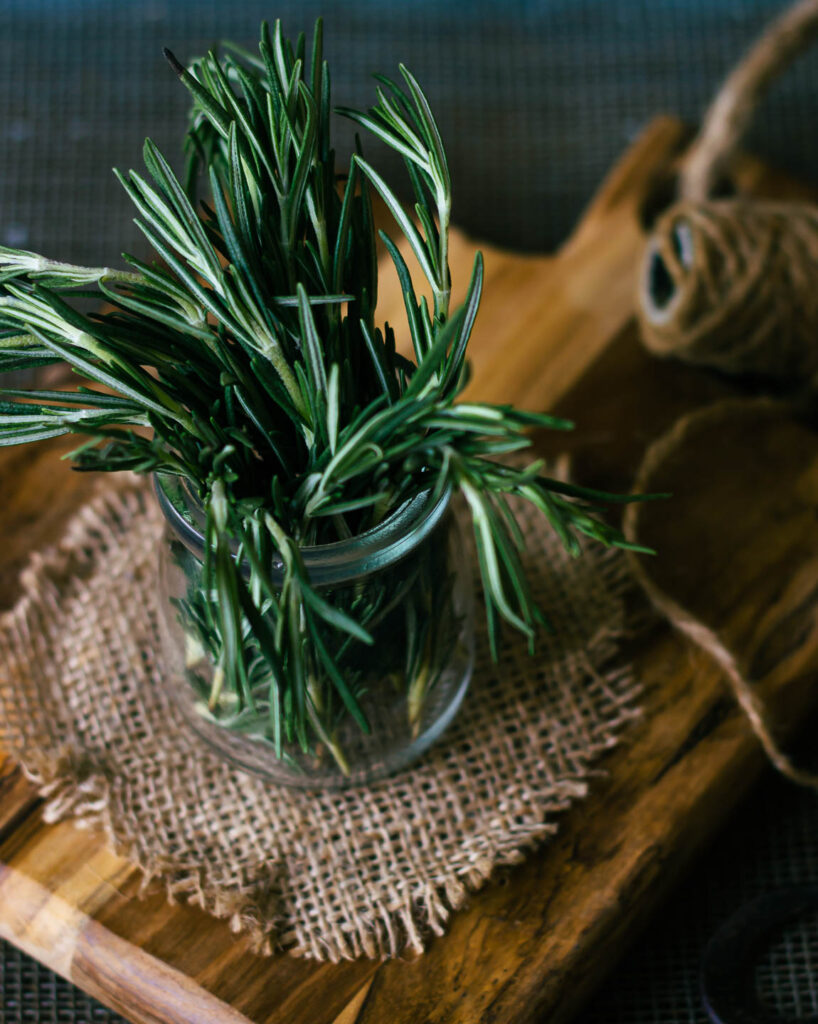 A potted rosemary plant placed near a sunny window