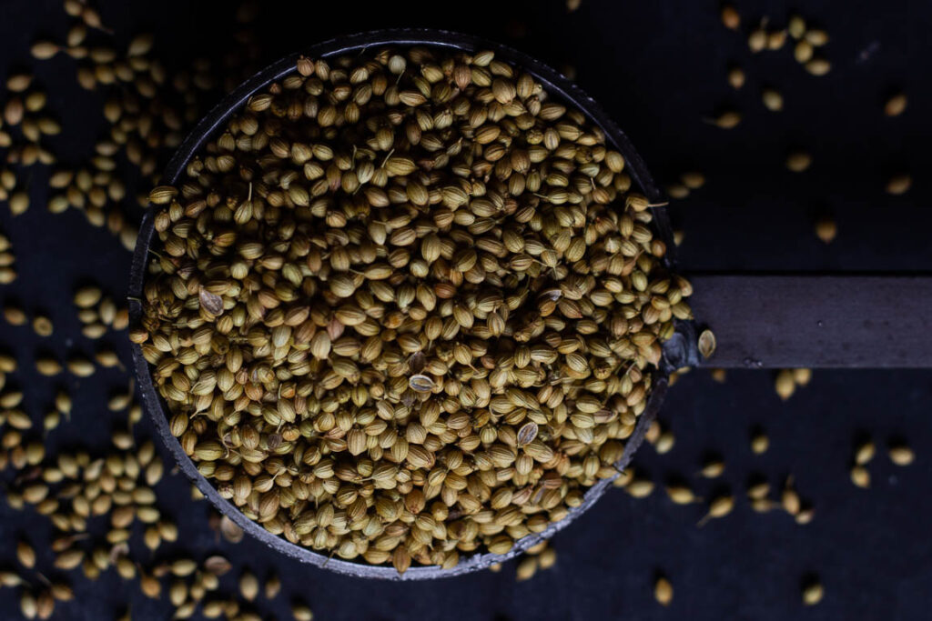 A bowl filled with fresh coriander seeds showcasing its texture