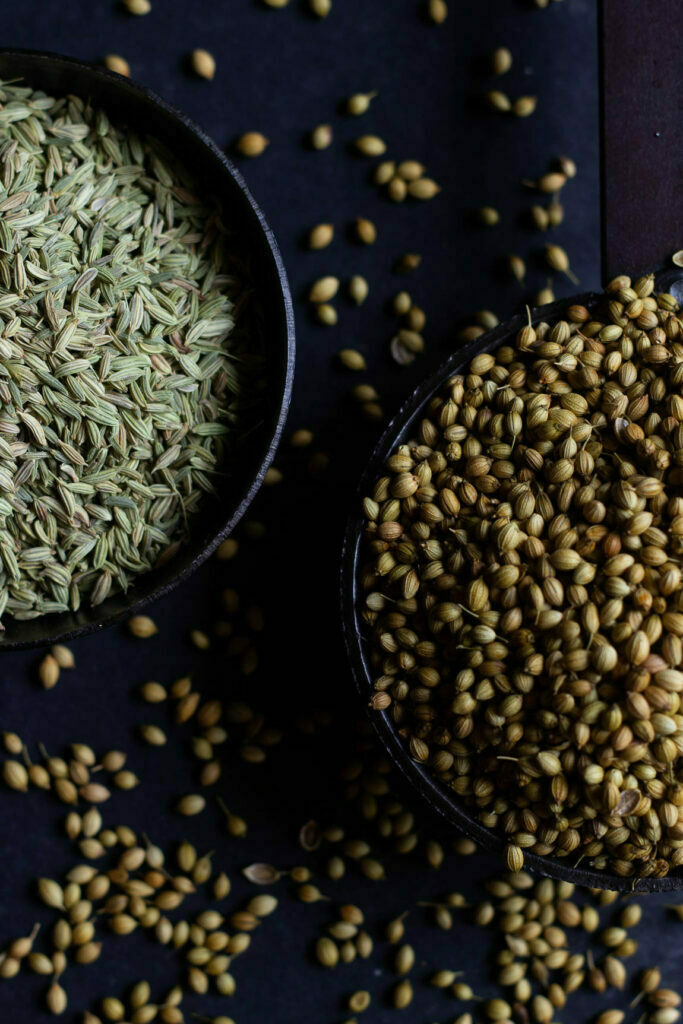 Fresh coriander seeds spread on a wooden surface for drying
