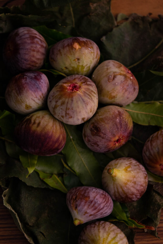 A bunch of fresh figs placed on a table having multiple health benefits