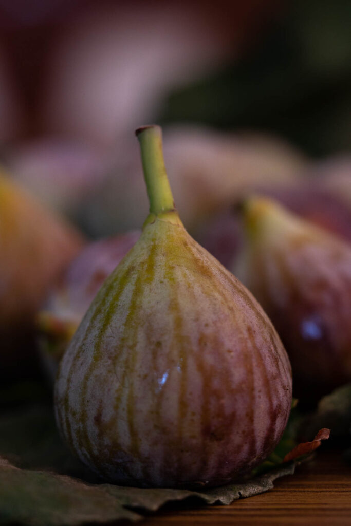 Close-up view of single fig showcasing its versatile nature