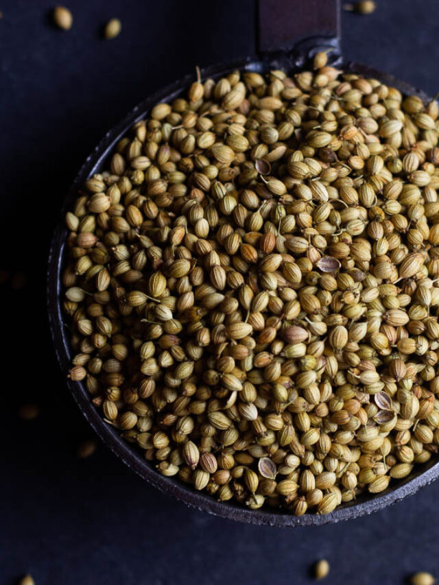 Coriander seeds and ground powder displayed in a traditional Indian kitchen